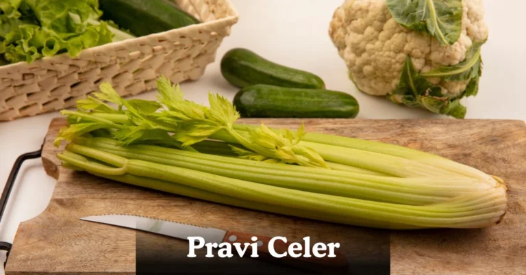 Pravi Celer